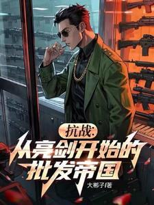 抗战从亮剑开始的批发帝国笔趣阁