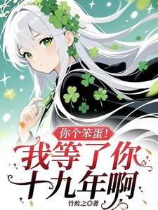 你这个笨蛋是什么意思